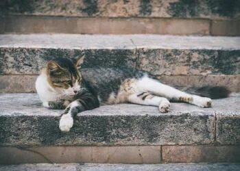10 mẹo đơn giản để có giấc ngủ ngon hơn mỗi đêm